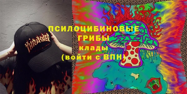 apvp Козельск