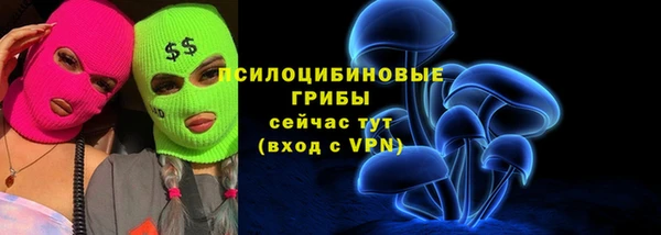 apvp Козельск