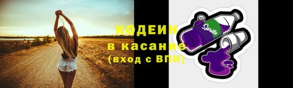 PSILOCYBIN Кодинск