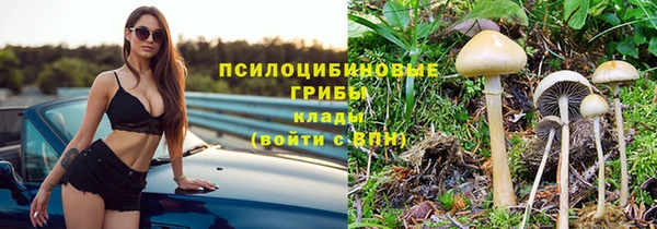 мдма Козловка