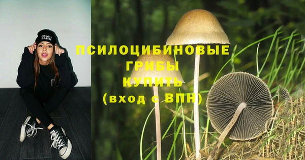 PSILOCYBIN Кодинск