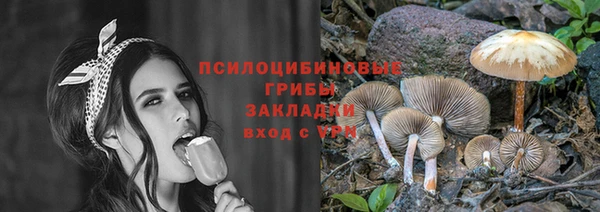 PSILOCYBIN Кодинск