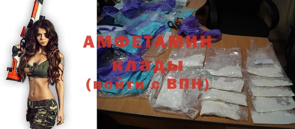 PSILOCYBIN Кодинск